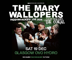 The Mary Wallopers Paddywhackery banner ad