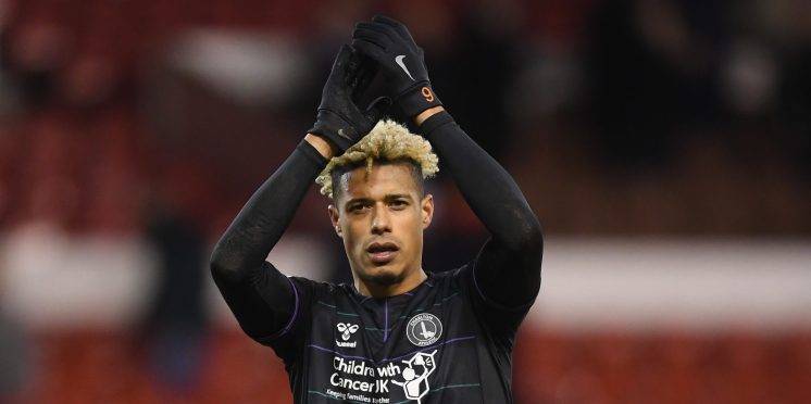 Controversial 36-goal striker tipped to join Celtic this summer Controversial 36-goal striker tipped to join Celtic this summer