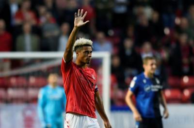 ‘It’d be a bit of a gamble’ – Celtic touted for Championship striker transfer: The verdict ‘It’d be a bit of a gamble’ – Celtic touted for Championship striker transfer: The verdict