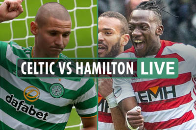 Celtic vs Hamilton LIVE: Stream, TV channel, team news, and kick-off time for Scottish Premiership opener Celtic vs Hamilton LIVE: Stream, TV channel, team news, and kick-off time for Scottish Premiership opener