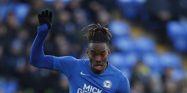 Leeds backed to beat Celtic to Ivan Toney Leeds backed to beat Celtic to Ivan Toney