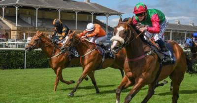 St Leger Festival Preview And Betting Tips – Day Two (18+) St Leger Festival Preview And Betting Tips – Day Two (18+)