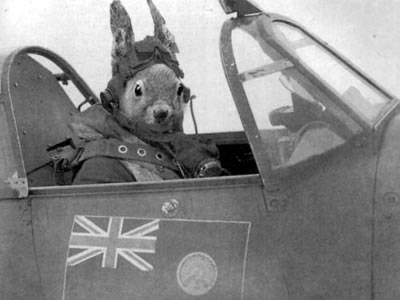 Wicked deflection 2 Wicked deflection 2