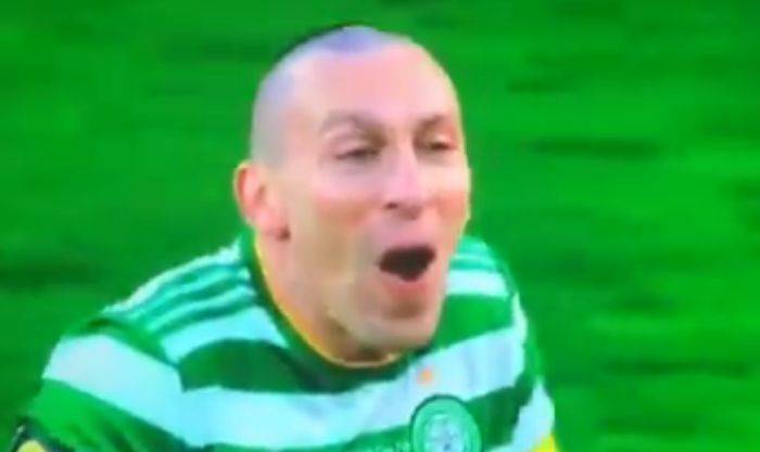 Video: Celtic fans will love this as Scott Brown laughs off a pathetic lunge from Andy Haliday Video: Celtic fans will love this as Scott Brown laughs off a pathetic lunge from Andy Haliday