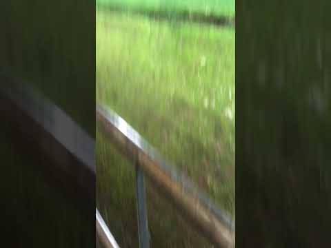 GREGG WYLDE and I have a brief encounter @ Celtic reserves match January 2020 #shorts GREGG WYLDE and I have a brief encounter @ Celtic reserves match January 2020 #shorts