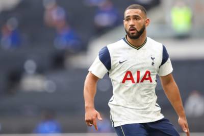 Tottenham Hotspur defender could be a good signing for Celtic Tottenham Hotspur defender could be a good signing for Celtic