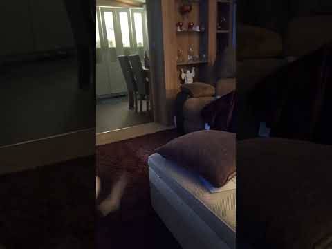 Where’s aw the burds