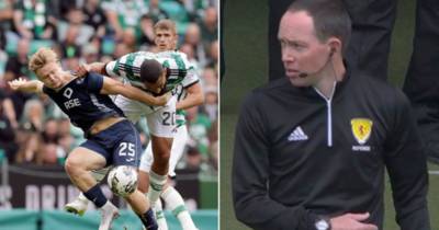Wasp at Celtic game stings official who has to get medical help in bizarre incident