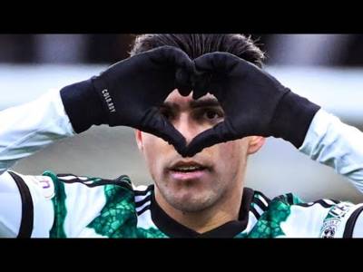 Crazy!!! Luis Palme Goal Fan Celebration (Ross County V Celtic 0-3!!!