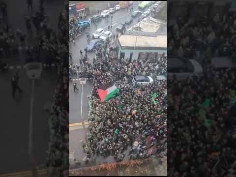 The Green Brigade & the Bhoys Having a Party on London Road
