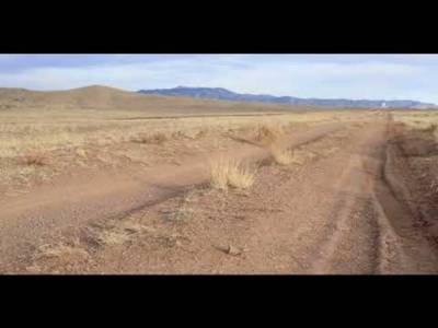 CSP CLIPS #viral #fyp