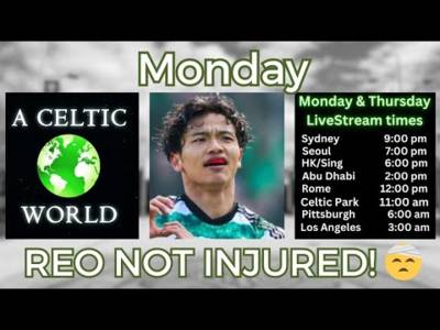 Reo Not Injured! 3 goals. Plenty chances. Clean Sheet. No damage.