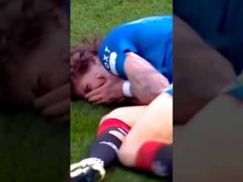 Silva. The Dying Fly
