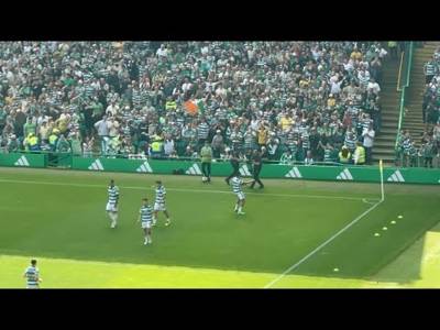 Crazy!!! Palma Goal Fan Celebration Last Game of the Season (Celtic V St Mirren 3-2)