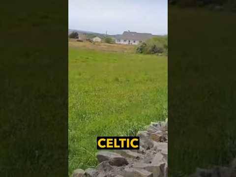 They took grass from here to Glasgow