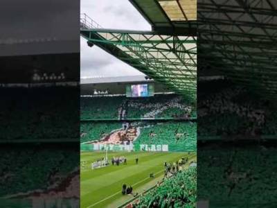 Incredible Green Brigade Celtic Tifo Fly The Flag #celticfans #celticfc #greenbrigade #football