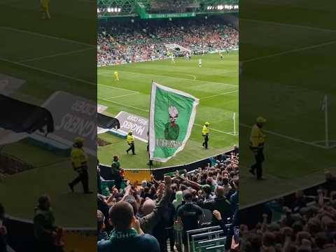 The Hun Are Going Bust AGAIN #celtic #football #celticfc #celticfans #rangersfc #spfl #rangers