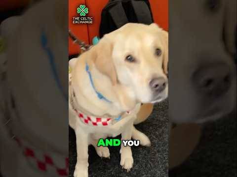 Jon & Sam’s Inspirational Journey Across Scottish Football #followingsam #thecelticexchange