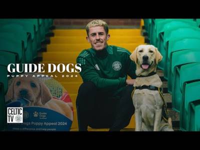 Feature | Luke McCowan takes the lead in Celtic Guide Dogs Puppy Appeal (09/10/24)