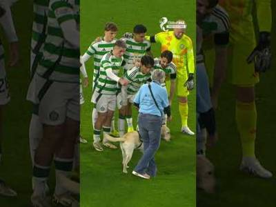 Pups In Paradise ðŸ¶ Guide Dogs At Celtic Park Raise Awareness For Charity #shorts