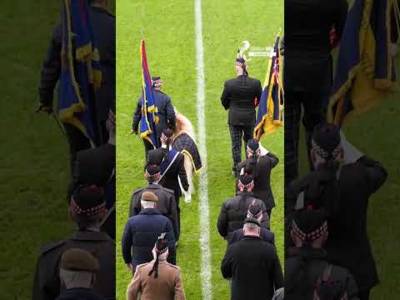 JÃ¼rgen Clop ðŸŽ #shorts