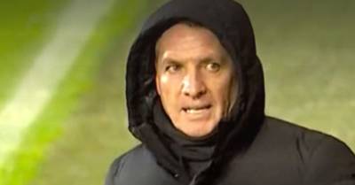 Paradise: â€˜We Love the Energy,â€™ Rodgers