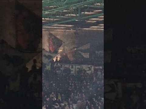 The Bhoys Pyro Party #celticfc #celtic #thebhoys #hibs #hibernianfc #spfl #pyro #celticfans