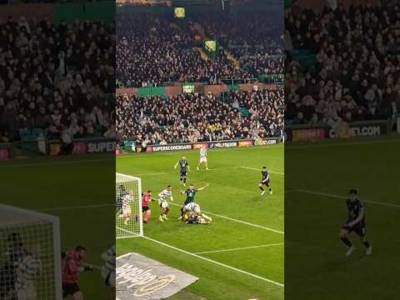 Celtic Penalty Ignored, Hibs Handball #celticfc #celtic #hibs #hibernianfc #spfl #scottishfootball