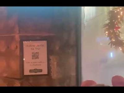 Celtic fans after ANOTHER sevco Loss