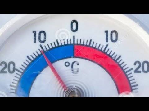 Csp Friday Night Live