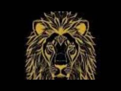 Pro sports media/CSP WEEKLY review