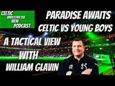 Paradise Awaits / Celtic Vs Young Boys / a Tactical View with William Glavin