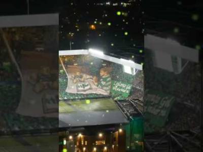 GREEN Brigade Tifo is so CREATIVE and STUNNING