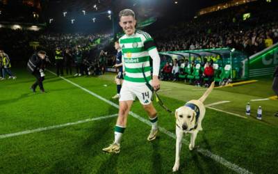 Celtic schedule a dog’s life for McCowan, but he wouldn’t swap it for anything