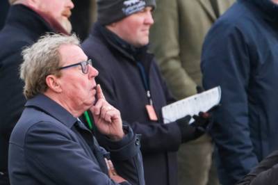 Harry Redknapp disrespects Celtic with Ange Postecoglou message amid Tottenham struggles