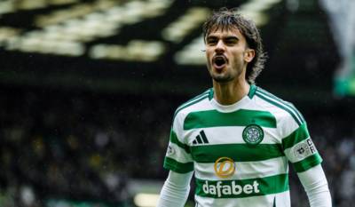 Celtic star on project Jota 2.0, his ‘wee’ furry friend, and Ange Postecoglou
