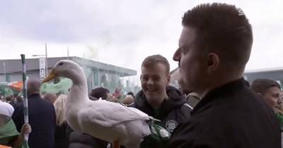 Famous Glasgow duck joins Celtic fans for Parkhead celebrations