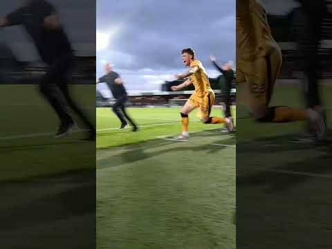 LIVI ARE BACK!