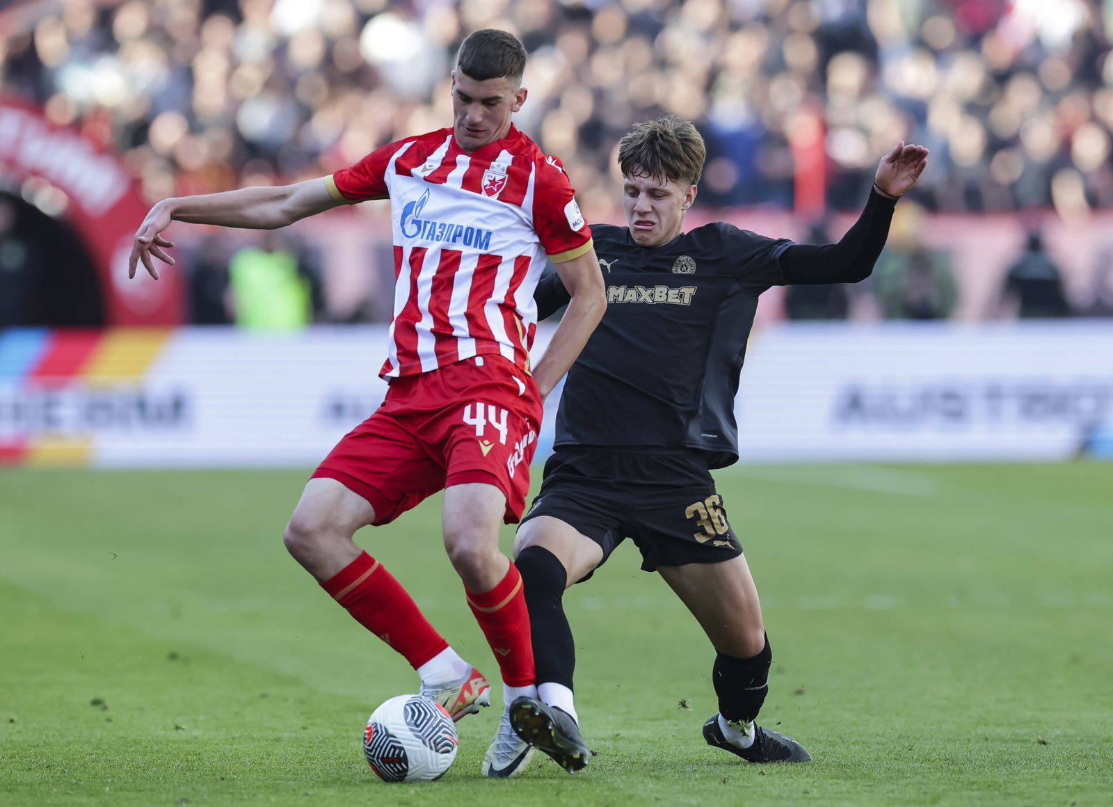 Report names asking price if Celtic are to sign Veljko Milosavljevi?