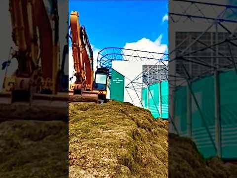 Work starts for new Celtic Hybrid surface for season 25/26