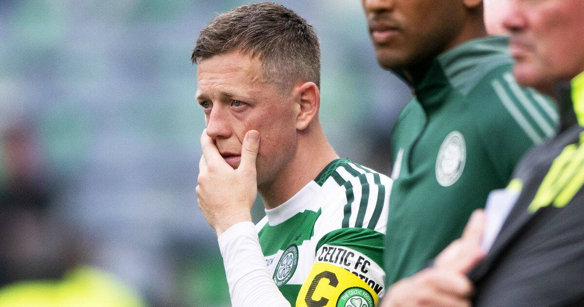Callum McGregor took fears over yobs directly to Celtic board as SFA chief makes weighty plea to players