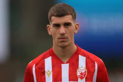 How much Celtic will need to pay ‘to land’ Veljko Milosavljević from Red Star Belgrade