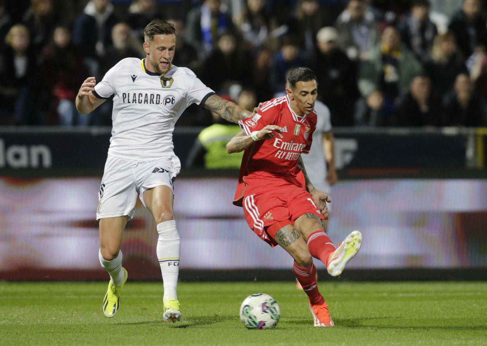 Rodgers Targets Dutch Defender as Celtic Reshape Back Line