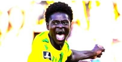Celtic Bidding War for Wonderboy