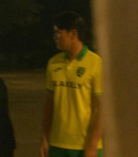 Yang Norwich City Fake Leaves the S*N Red-Faced