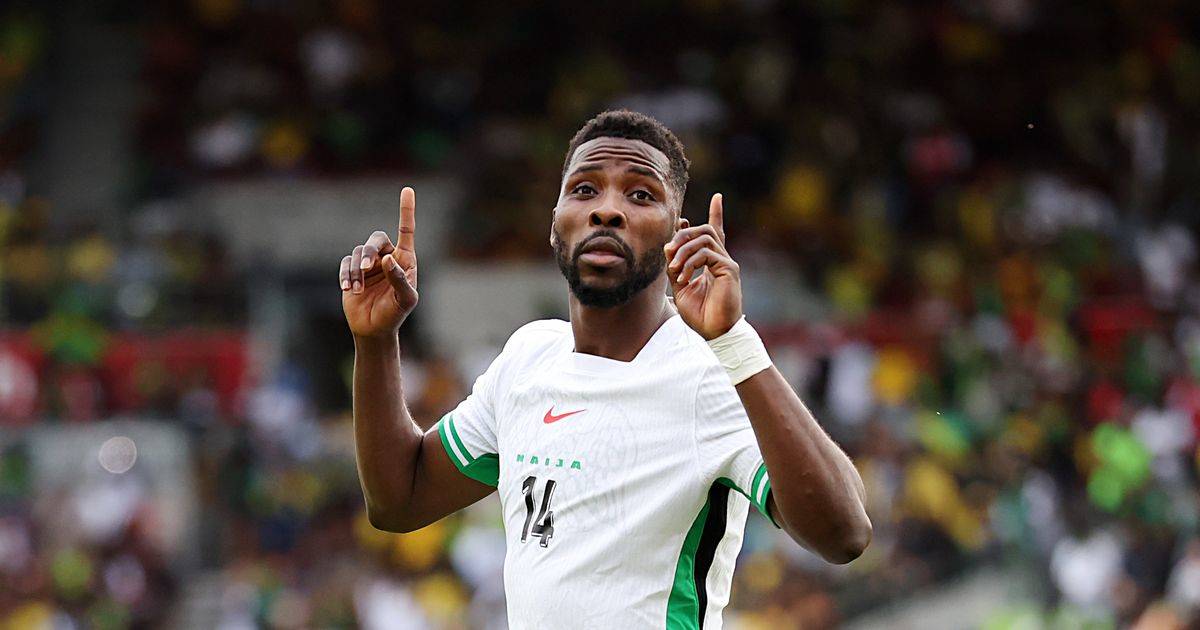 Kelechi Iheanacho is Celtic bargain at the bottom of the barrel as sell by date fears allayed