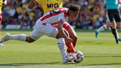 Million Manhoef: Stoke City transfer decision involving Celtic has Mark Robins reaping the rewards