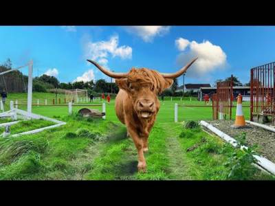 Literally a Farmer’s League Literally a Farmer’s League