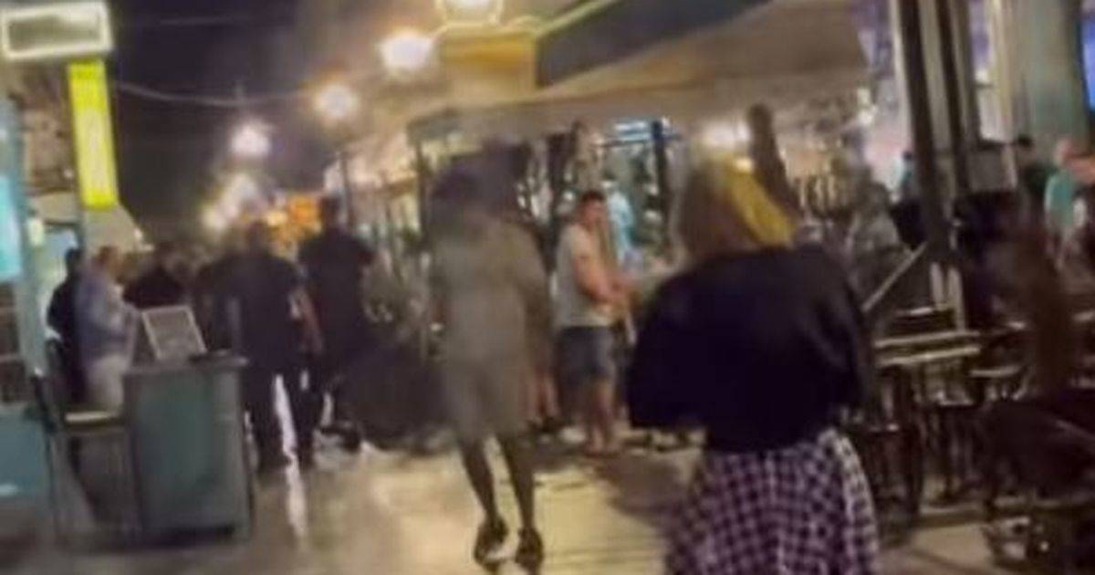 Celtic fan ‘left with head injuries’ after supporters ‘attacked’ in Belgrade