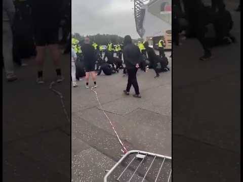 Angry Bears Chase After Rangers Bus? #rangersfc #rangersfans #Falkirk #russellmartin #football#spfl